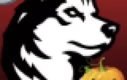 NEU Discord member tier list