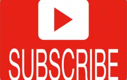 The Daily's Snails Video's Ranked
