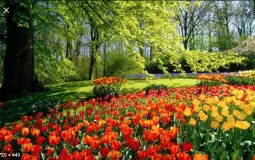 bedwars item ranking hypixel