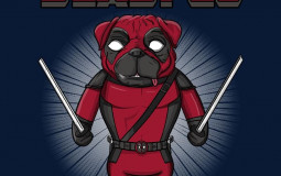 stupid serch :amzon items