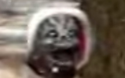 Dbd Looping Tier List