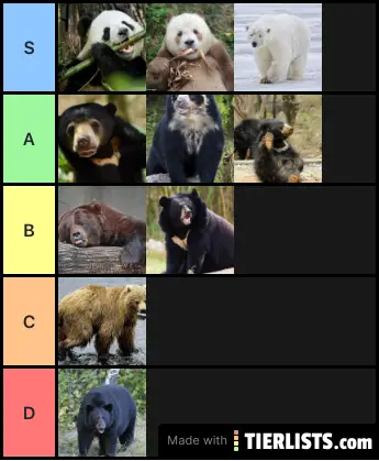 BEARS