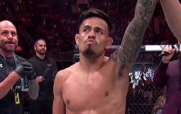 Ranking UFC Flyweight Division