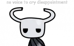 hollowknight waifus