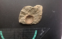 Calash