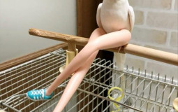 Hawttest May Hall Members