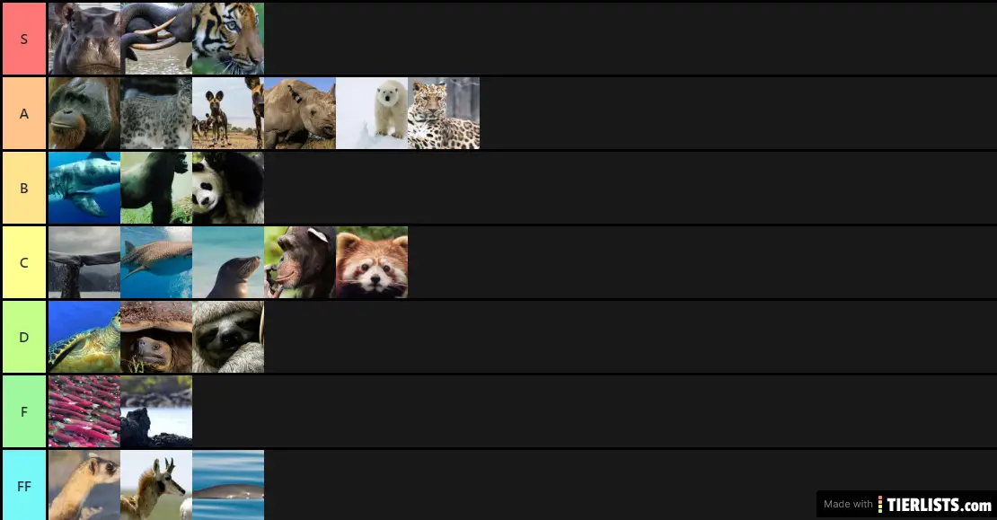 Each animals strength
