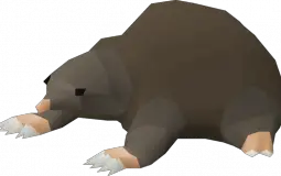 Osrs pets