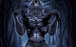 Best Anime forms