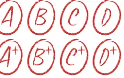 School Grade Tier List