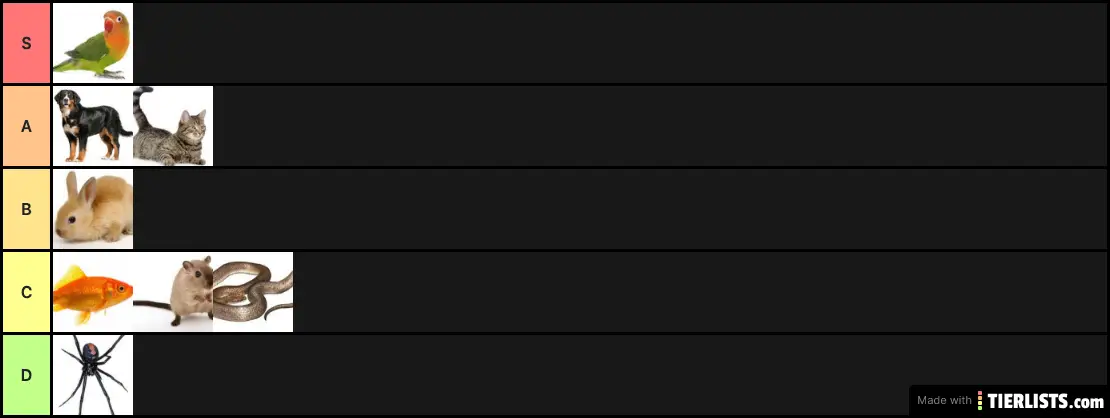 Pets Tier List